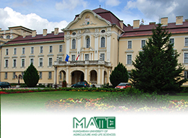 Szent Istvan University